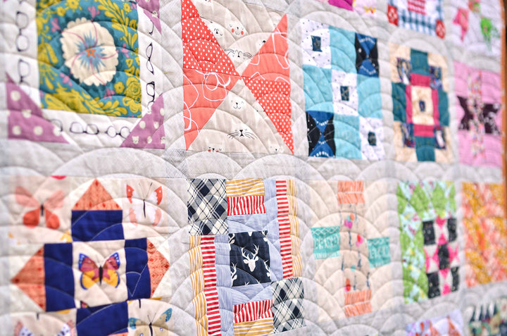 Fussy Cut Sampler Quilt